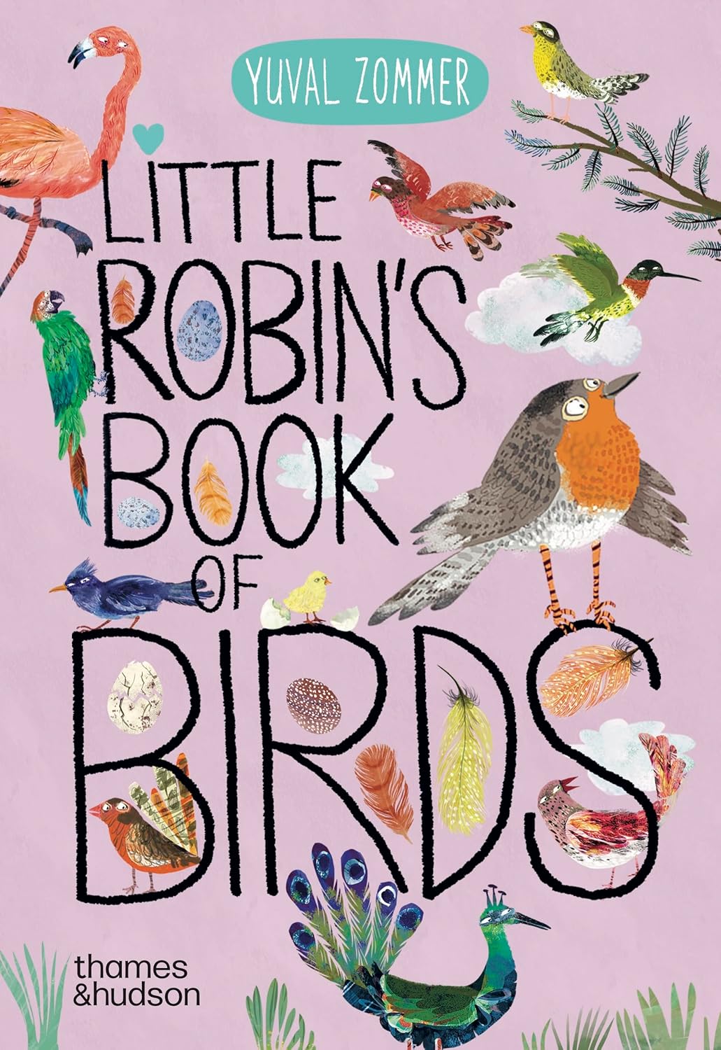 Little Robin's Book of Birds by Yuval Zommer (Preorder)