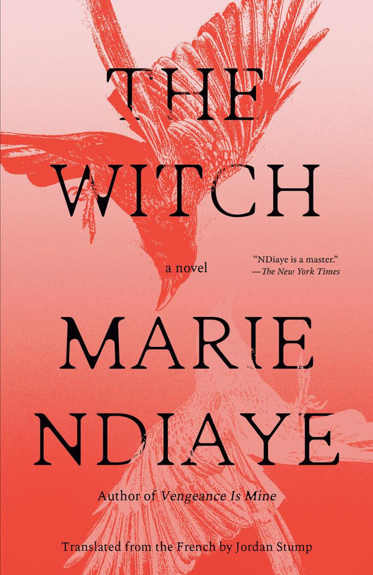 The Witch: A Novel by Marie NDiaye translated by Jordan Stump