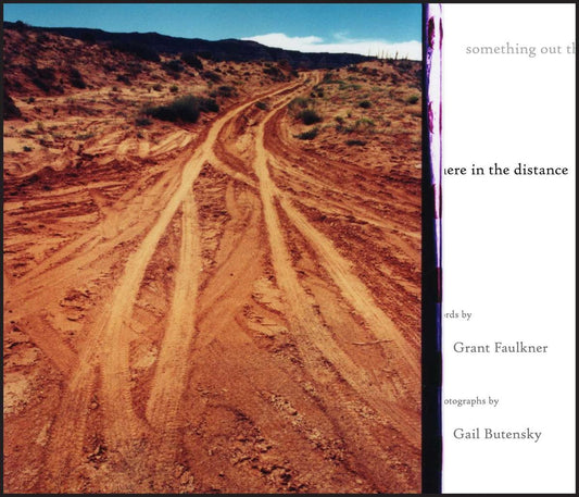 something out there in the distance by Grant Faulkner & Gail Butensky