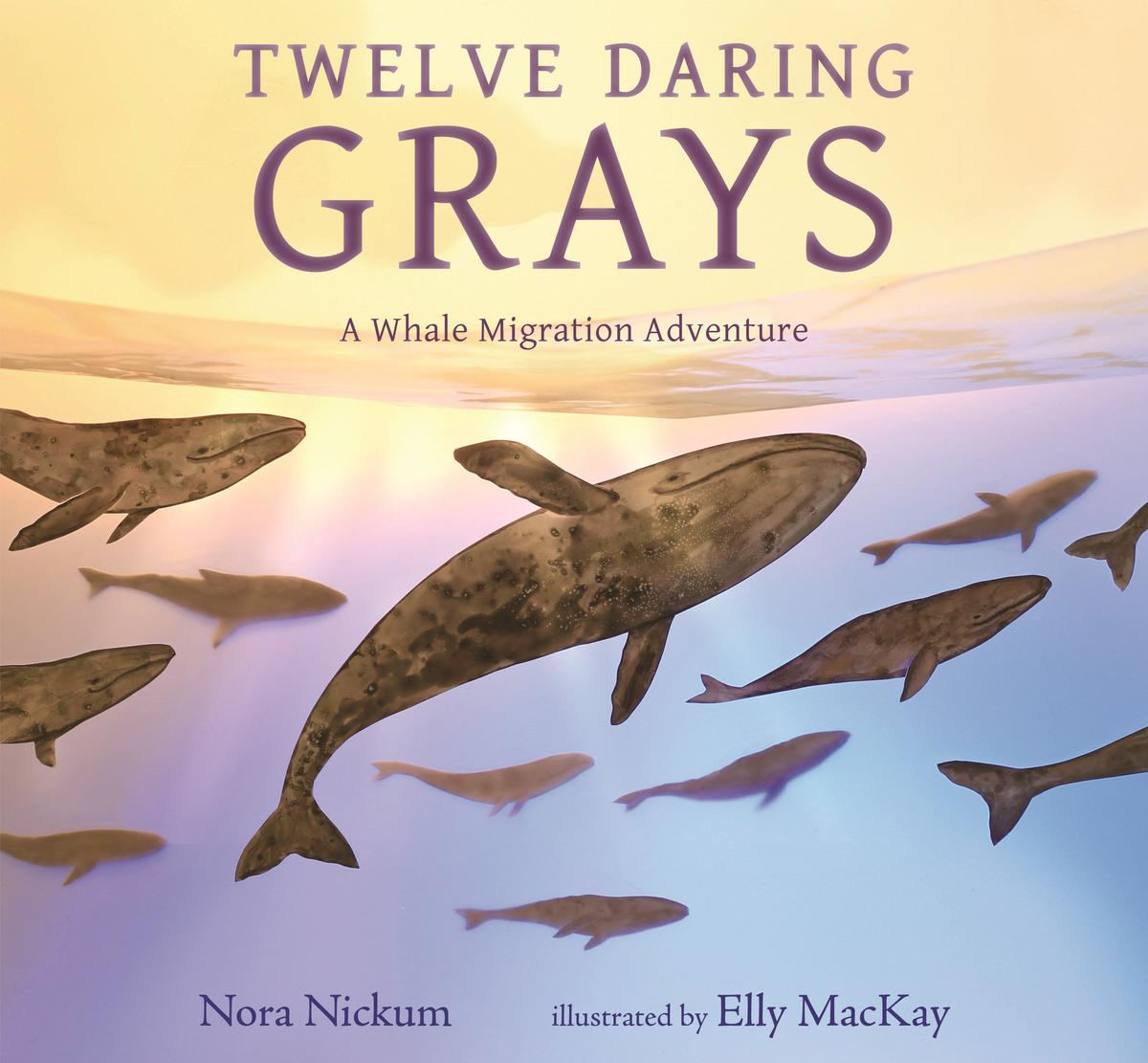 Twelve Daring Grays A Whale Migration Adventure by Nora Nickum & Elly MacKay