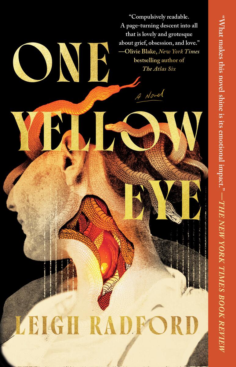 One Yellow Eye by Leigh Radford
