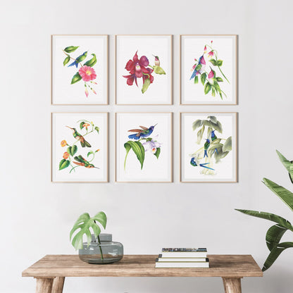 Vintage hummingbirds oil painting workbook (limited quantities)