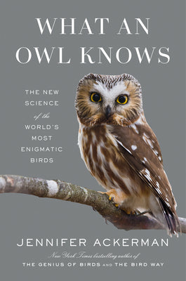 What An Owl Knows by Jennifer Ackerman