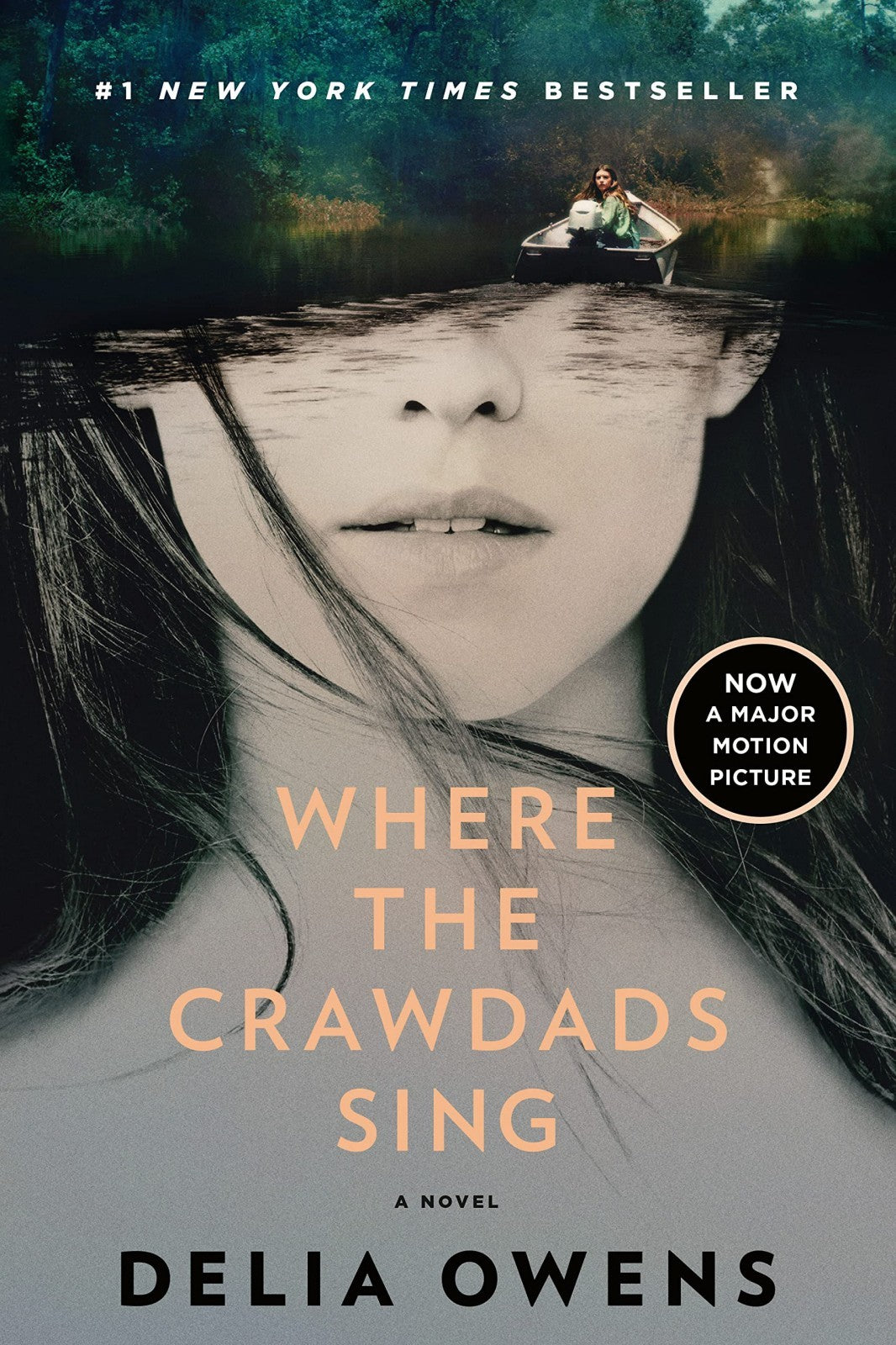 Where the Crawdads Sings by Delia Owens