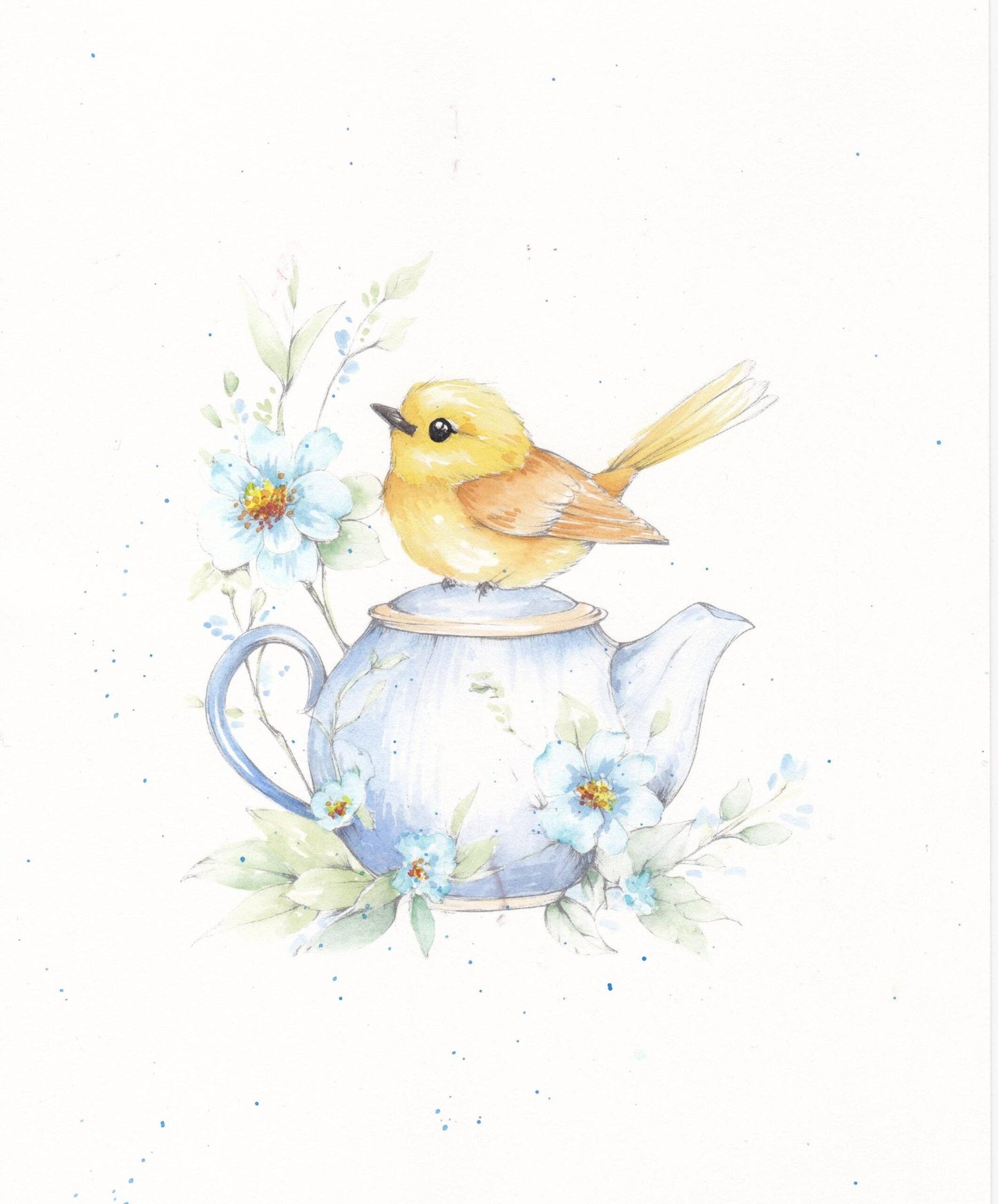 Feathers & finery watercolour workbook