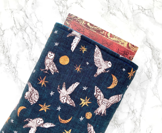 Owl fantasy padded book sleeve