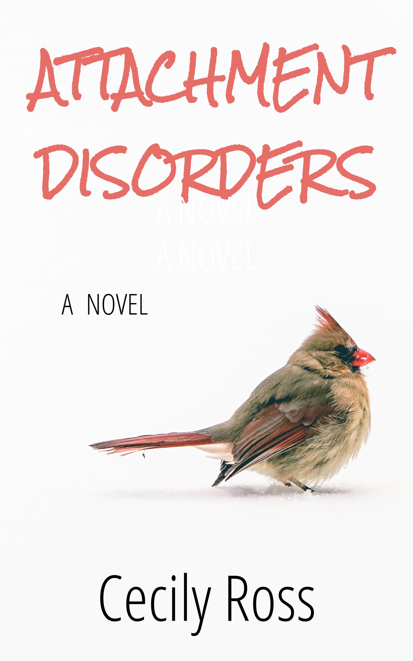 Attachment Disorders: A Novel by Cecily Ross