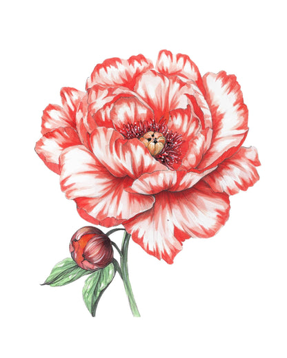 Bold flowers watercolour workbook