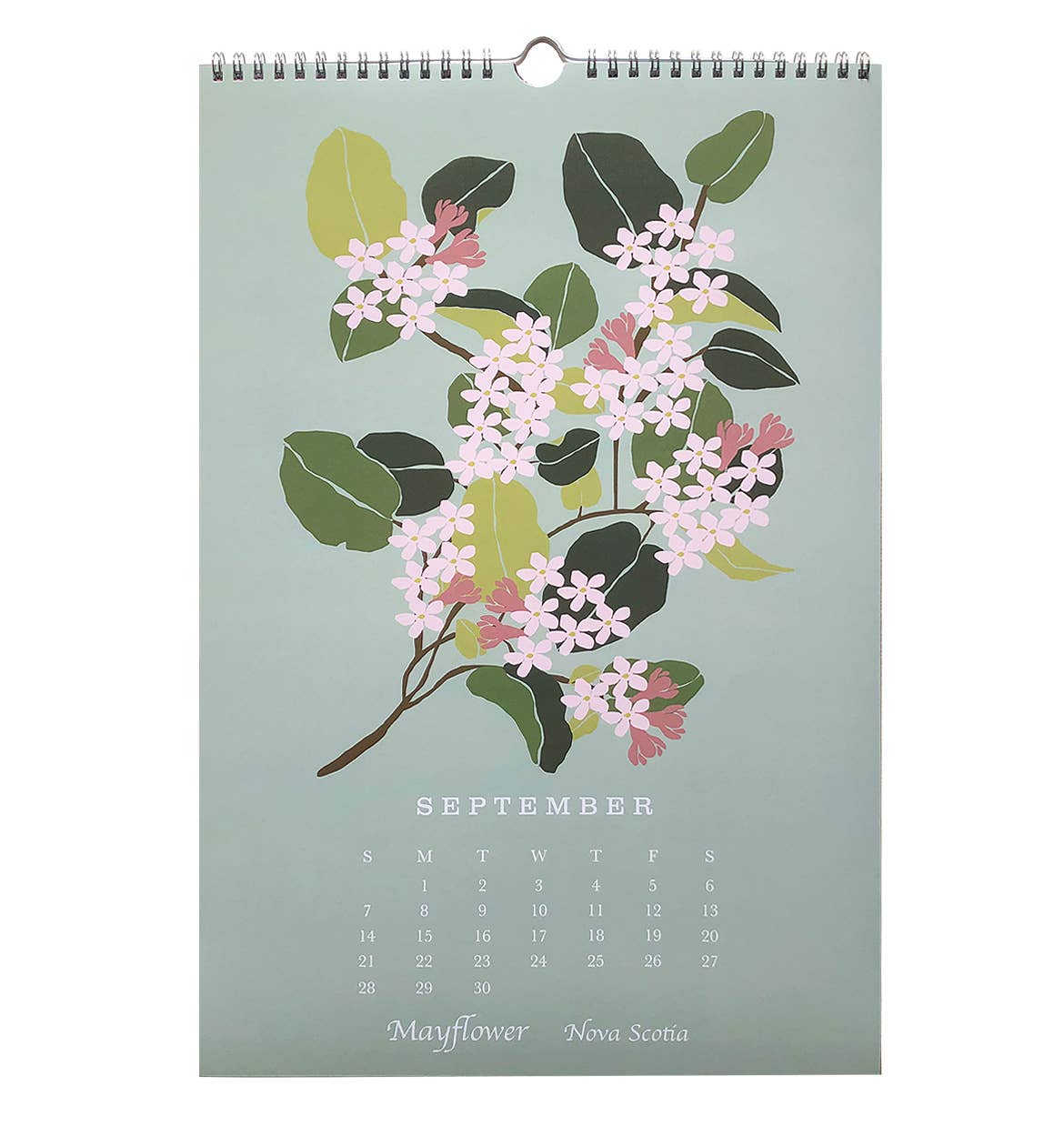 2025 Wall Calendar: Flowers of Canada's Provinces