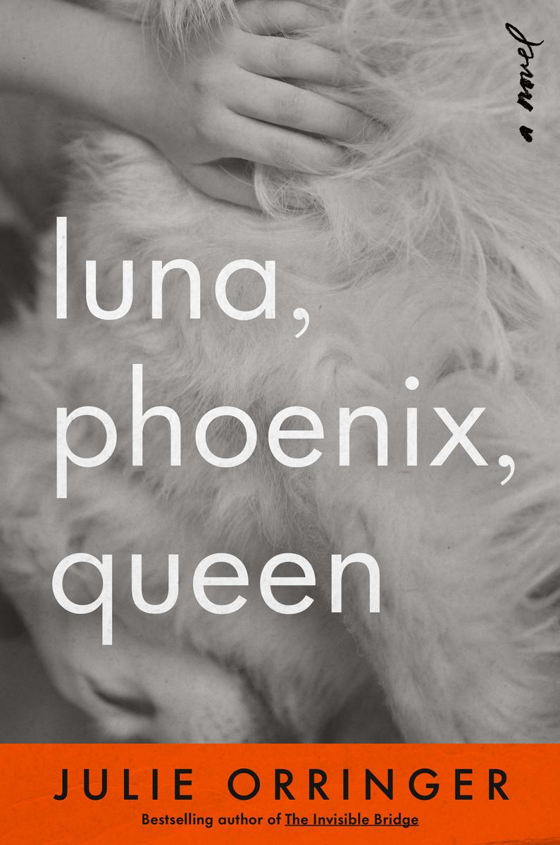 Luna, Phoenix, Queen: A Novel by Julie Orringer (Preorder)