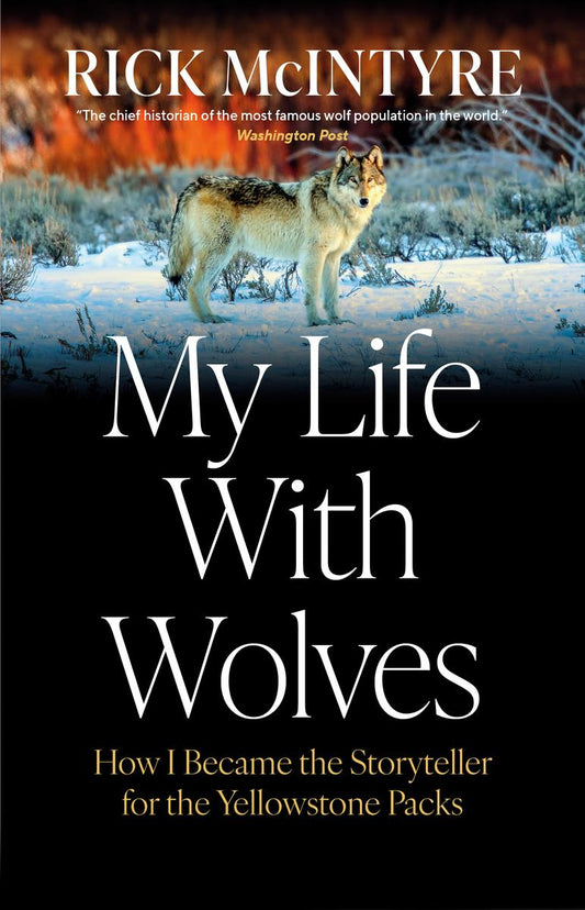 My Life With Wolves: How I Became the Storyteller for the Yellowstone Packs by Rick McIntyre