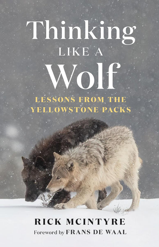 Thinking Like a Wolf: Lessons From the Yellowstone Packs by Rick McIntyre & Frans de Waal