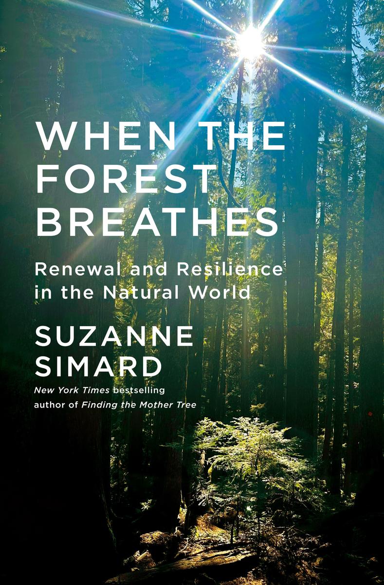 When the Forest Breathes: Renewal and Resilience in the Natural World by Suzanne Simard (Preorder)