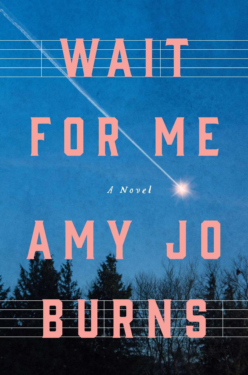 Wait for Me: A Novel by Amy Jo Burns (Preorder)