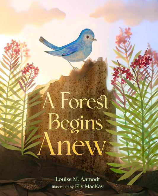 A Forest Begins Anew by Louise M. Aamodt & Elly MacKay